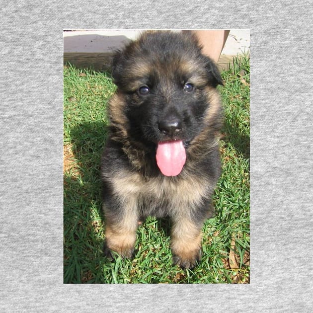 german shepherd black and tan puppy sitting by Wanderingangel